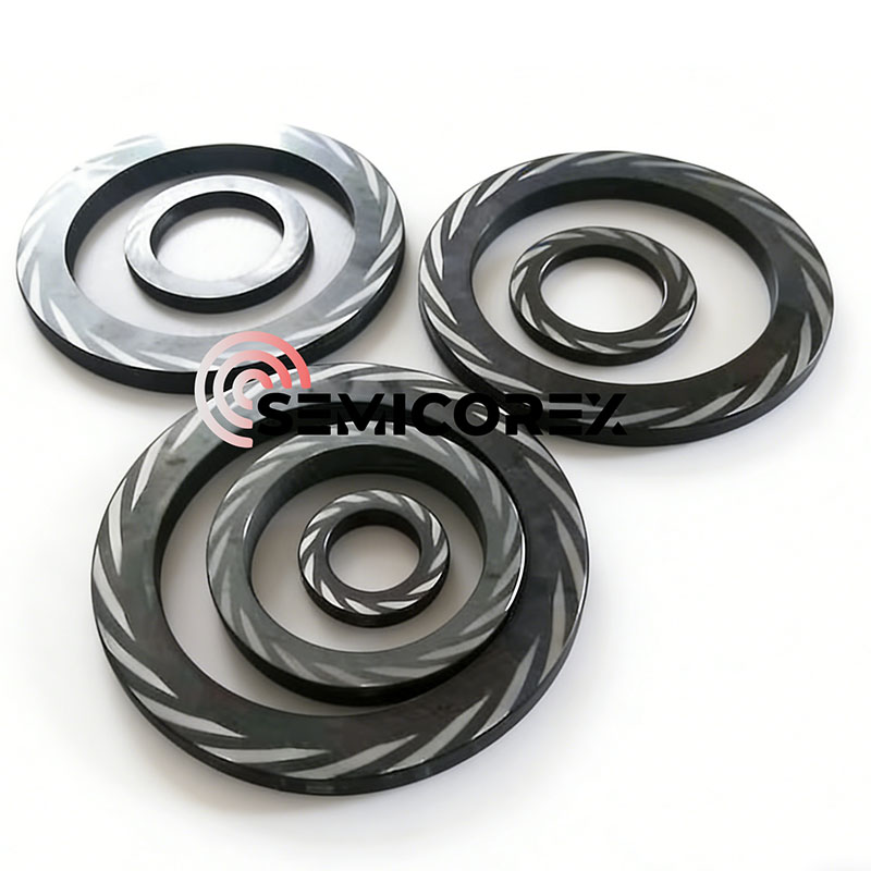 SiC tesnenie pre DGS